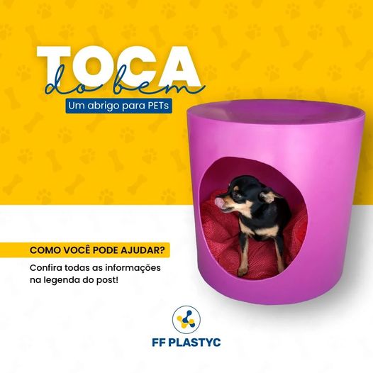 TOCA DO BEM 🐶 - PROJETO IRÁ ABRIGAR PETs DAS ENCHENTES