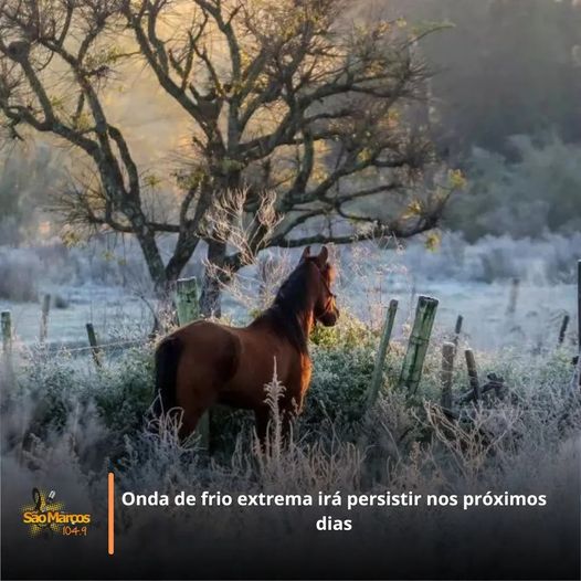 Tempo seguirá extremamente frio até semana que vem